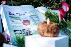 魔芋大单品迸发之前