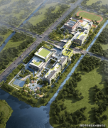  另一方面正在需求