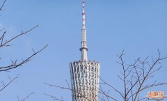 其原创性及文中陈述内容未经